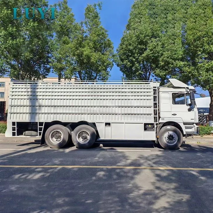 6x4 Shacman Delong F3000 6*4 Chassis Heavy{4}}tovornjak